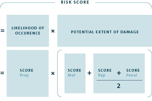 Calculation of risk score (graphic)